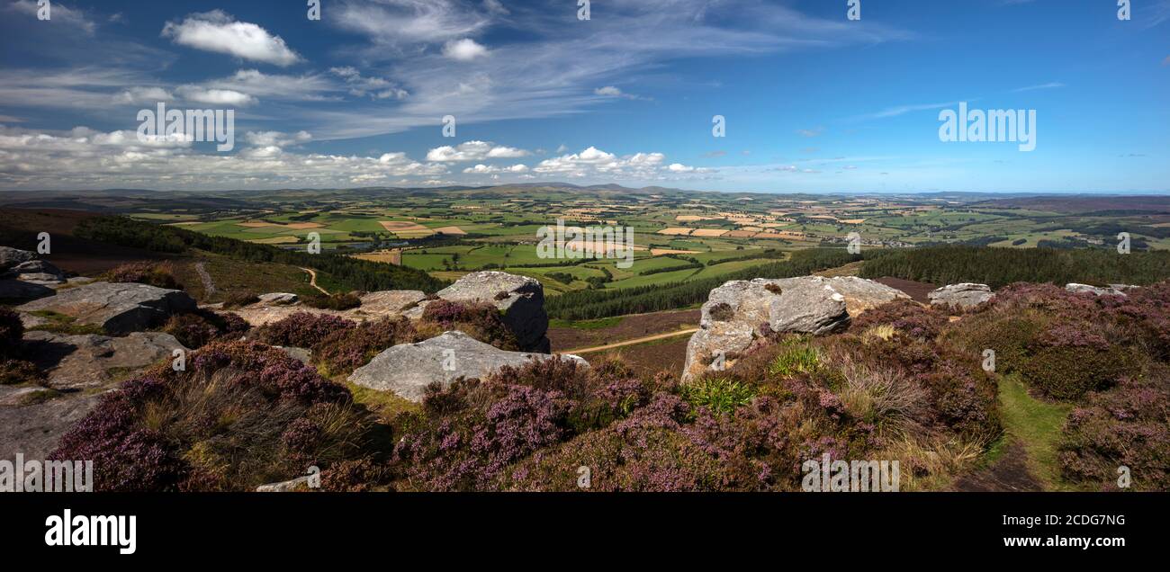 En été, vues sur les collines de Simonside, près de Rothbury, dans le parc national de Northumberland, Northumberland, Angleterre, Royaume-Uni Banque D'Images