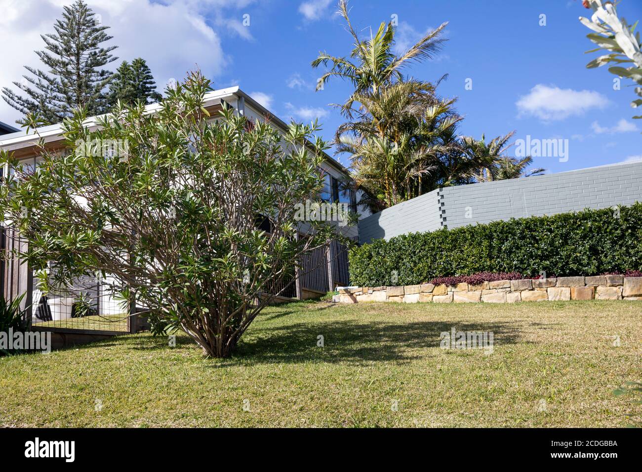 Maison indépendante australienne à Avalon avec jardin et plantes domestiques, Sydney, Australie Banque D'Images