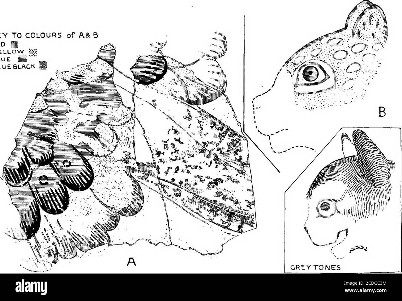 . Le palais de Minos : un compte-rendu comparatif des étapes successives de la civilisation crétoise ancienne comme illustré par les découvertes de Knossos . feuilles d'un plus brumble-likecharter. Que le chat et la fresque faisante de Hagia Triada a eu son analogie à pour une illustration colorée voir Knossian ^ pour l'oiseau comparer aussi un fragment Atlas i, PI. D. I. d'une fresque de Phylakopi {Phylakopi, p. 77, Halbherr, Mon. Ant., xiii, PI. VIII et Fig. 65). P. 58 j compare Rizzo, Storia Delv Arte Greca, * Voir p. 356, fig. 255. P. loi, fig. 34. ° ^H. ANT., xiii, p. 57. 540 LE PALAIS DE MINOS, ETC. KNO Banque D'Images