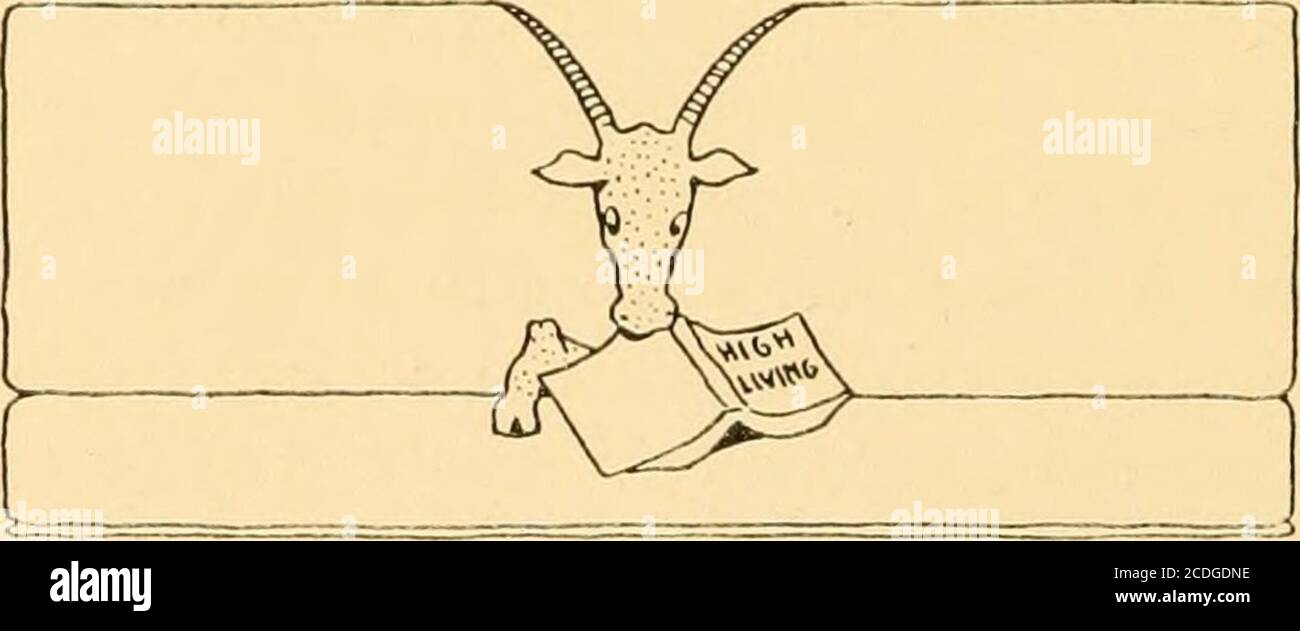 . Haute vie; recettes des climats du sud . RS — mélanger une demi-tasse de cassonade avec une demi-tasse de blanc, et la crème avec une demi-tasse de beurre. Une fois lisses, ajouter les jaunes battus de trois œufs et battre dur, puis une demi-cupful de Mo-lasses de la Nouvelle-Orléans, et, enfin, une demi-cupful de farine tamisée. Déposez les cuillerées à thé de la batte sur un moule beurré, à environ deux pouces l'un de l'autre; placez un quart d'une noix sur chacun, et faites cuire dans un four très lent jusqu'à ce que le pain soit brun, environ dix minutes. Conserver dans une boîte couverte. PÂTISSERIE GÉNOISE : réchauffer une demi-tasse de beurre jusqu'à ce qu'un peu mou et battre un crea Banque D'Images