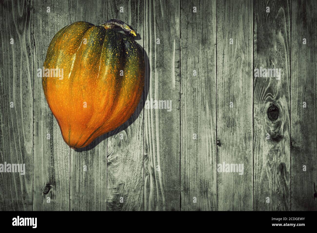 Une petite citrouille se trouve sur la table. Vue de dessus. Planches de bois Banque D'Images