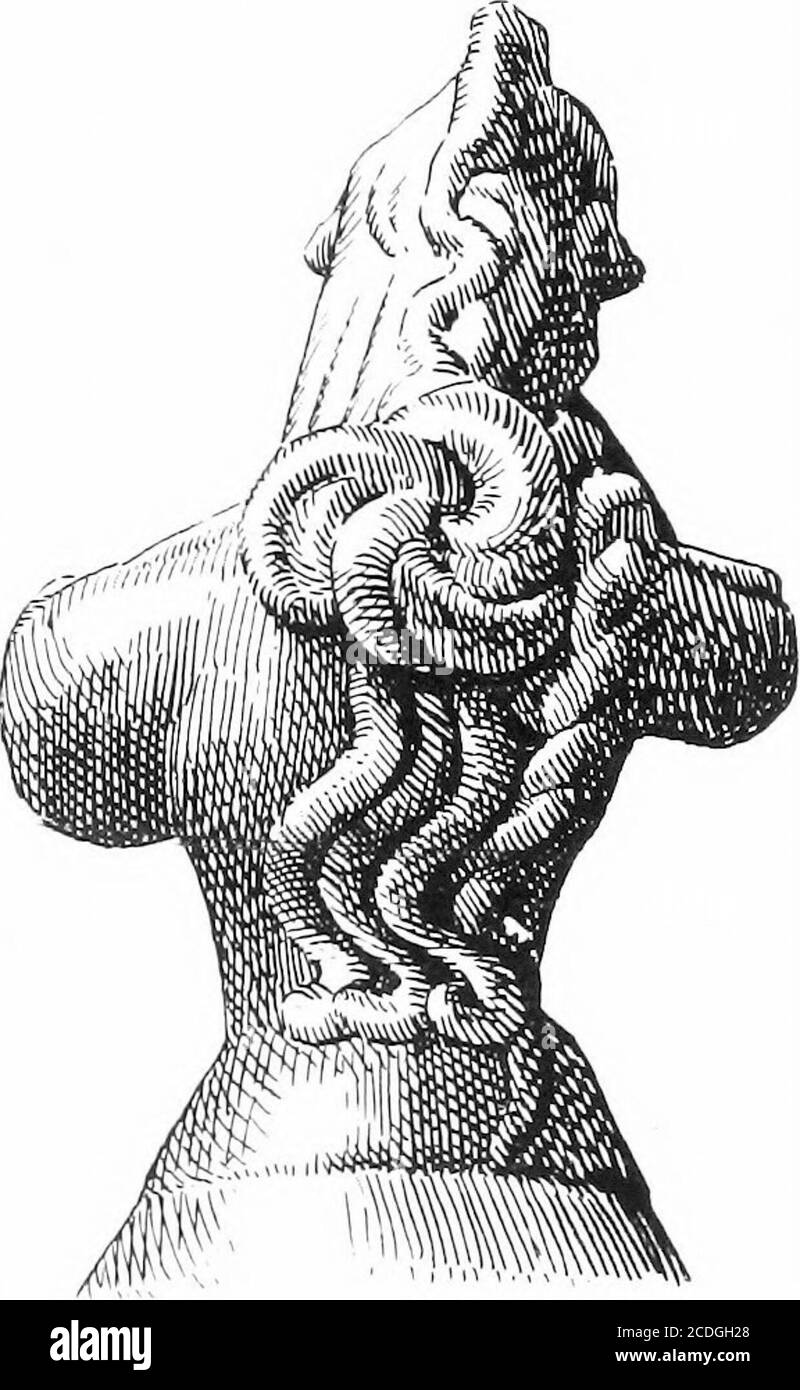. Le palais de Minos : un compte-rendu comparatif des étapes successives de la civilisation crétoise ancienne comme illustré par les découvertes de Knossos . apparaît une sorte de panneau de Watteau avec un groupe de sacredand^^ safran-fleurs, dans lequel l'influence des amas de lotus égyptien est clearlyGirlesses de traçabilité. Les articles votifs de la tenue trouvent une analogie dans le Sacral Knot décrit ci-dessus. Ces chiffres ont parfois été désignés sous le nom de charmers de serpent, Faience. M. M. Ill: LA DÉESSE DE SERPENT ET LES RELIQUES 507 mais toutes les associations dans lesquelles ils ont été trouvés montrent qu'ils étaient priest-d'une religion Banque D'Images