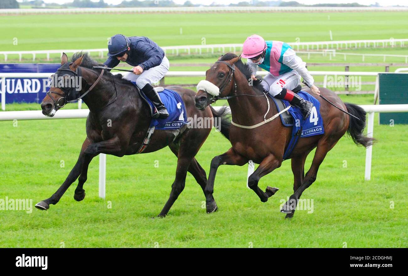 Le Brésil, monté par Wayne Lordan (à gauche), remporte l'EBF Maiden irlandais Stallion Farms à l'hippodrome de Curragh. Banque D'Images