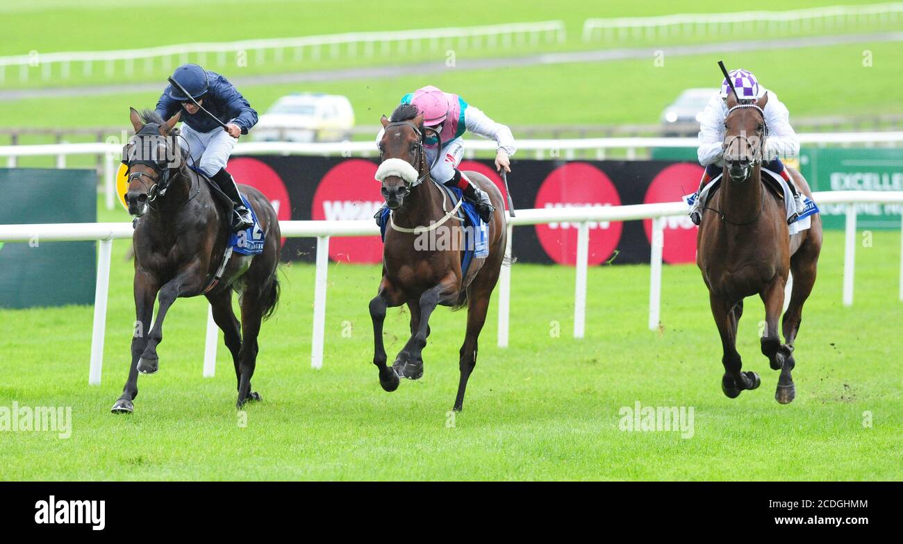 Le Brésil, monté par Wayne Lordan (à gauche), remporte l'EBF Maiden irlandais Stallion Farms à l'hippodrome de Curragh. Banque D'Images