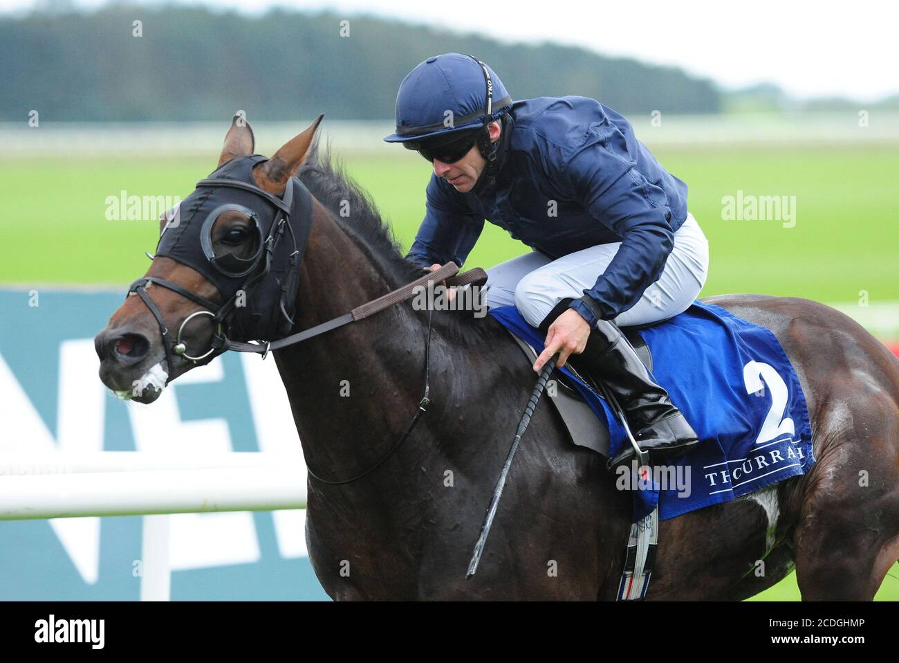 Le Brésil, monté par Wayne Lordan, remporte la victoire de la ferme irlandaise de Stallion Farms EBF Maiden à l'hippodrome de Curragh. Banque D'Images