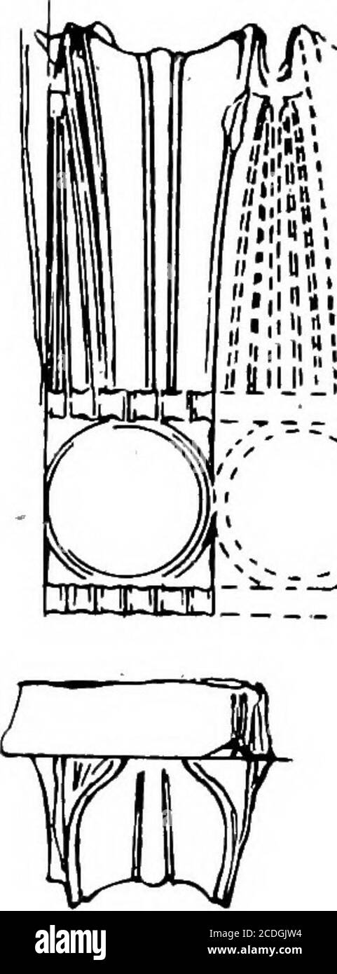 . Le palais de Minos : un compte-rendu comparatif des étapes successives de la civilisation crétoise ancienne comme illustré par les découvertes de Knossos . Figure 349. Matrices Steatite noires pour le moulage d'objets de la Faience, avec Moulures À CÔTÉ. (f c.) Des produits élaborés de la même industrie artistique, datant de la proximité de M. M. M. II ont déjà reçu l'illustration dans le cas de la ville 488 LE PALAIS D'IVTINOS, ETC. EgyptianOriginsof CretanFaience. Moules pour les objets de Faience trouvés à Knossos.. rr ?^- À- XV Banque D'Images