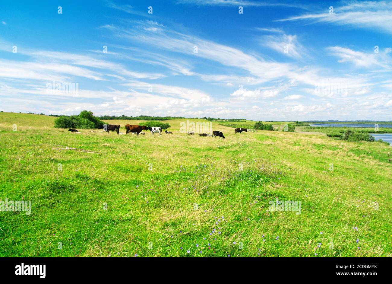 Lake Banque D'Images
