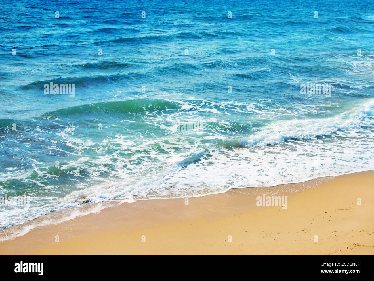 Océan vagues et plage tropicale Banque D'Images