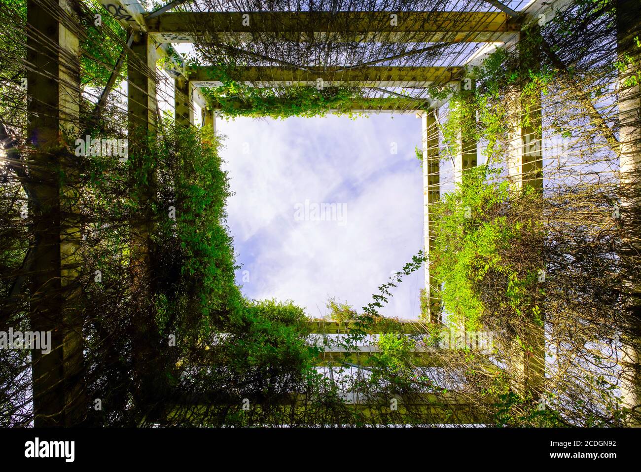 Landesgartenschau (Landscape formation One) Zaha Hadid, le jardin de Weil am Rhein, Bade-Wurtemberg, Allemagne. Banque D'Images