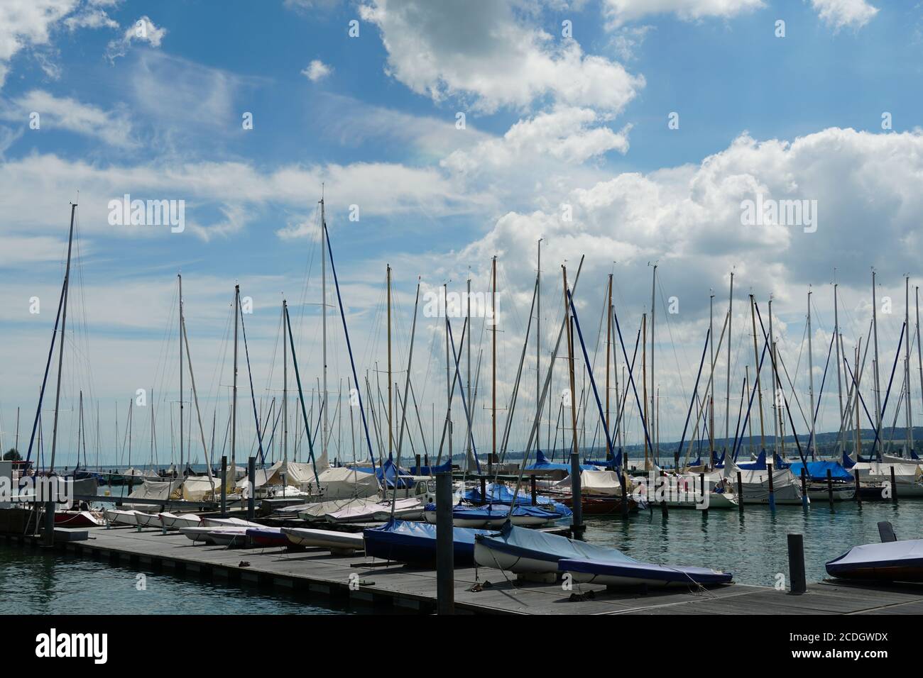 Marina avec de nombreux yachts et bateaux couverts de toile dans le lac de Constance ou Bodensee près de la ville allemande de Constance ou Konstanz pendant la journée ensoleillée. Banque D'Images