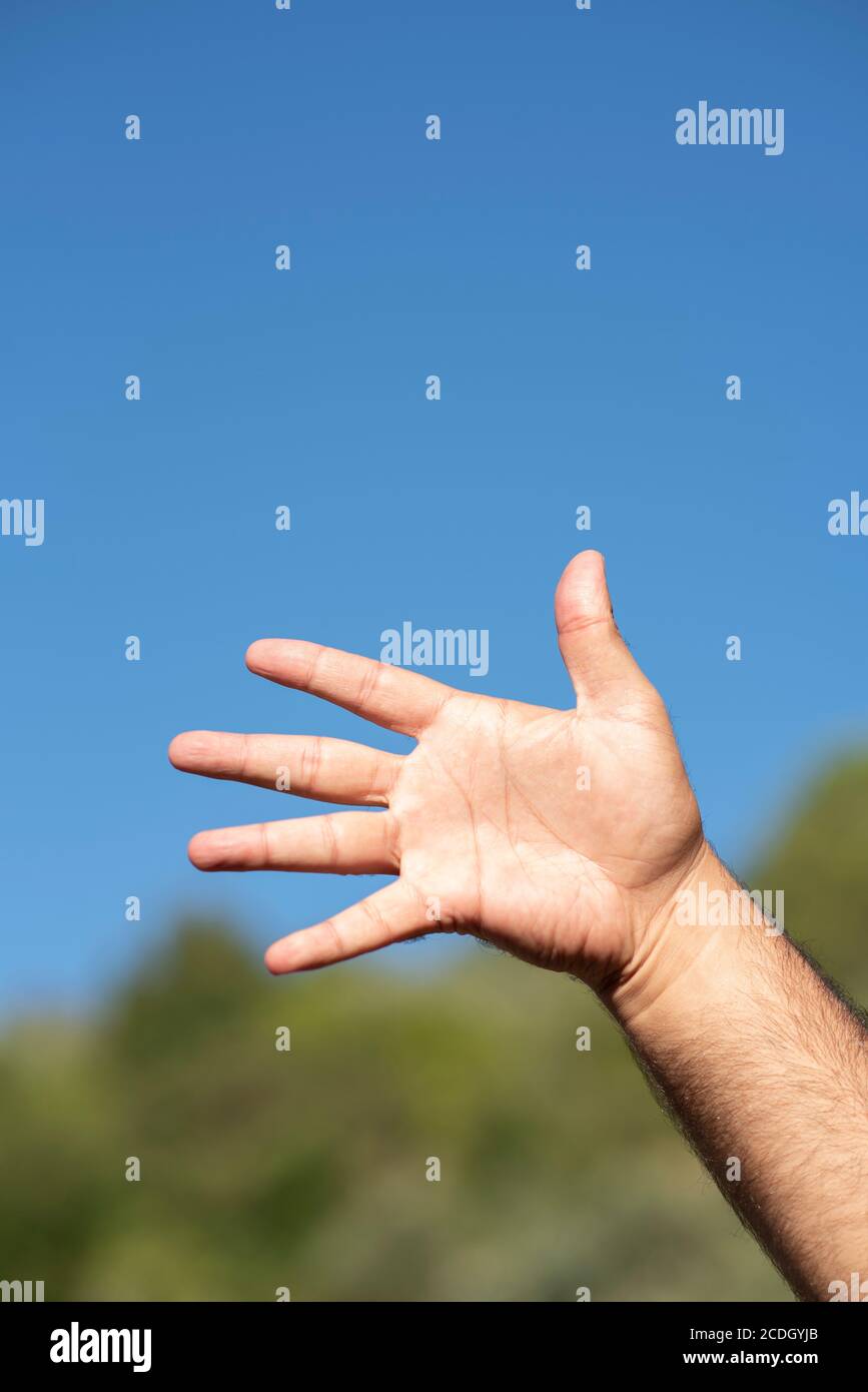 Paume de main de l'homme Banque D'Images