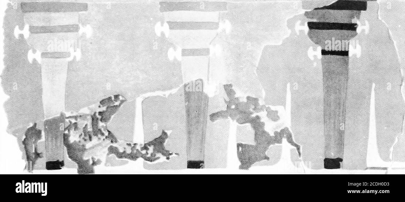 . Le palais de Minos : Un compte comparatif des étapes successives de la civilisation crétoise ancienne comme illustré par les découvertes à Knossos . avait été construit à l'origine avec une profondeur d'environ [?30 mètres.mais à un moment de remodelage architectural qui semble avoir pris placeEarly à la fin de l'âge minoen ils étaient bloqué par des réceptacles plus fins et plus fins. Dans la partie inférieure des Cistes d'origine et bienathleurs derniers planchers ont été trouvés des matériaux en caoutchouc, poterie, et d'autres relicsdating de la fermeture de M. M. Ill, et parmi ceux-ci, dans le cas des Kaselles ouvert dans Banque D'Images