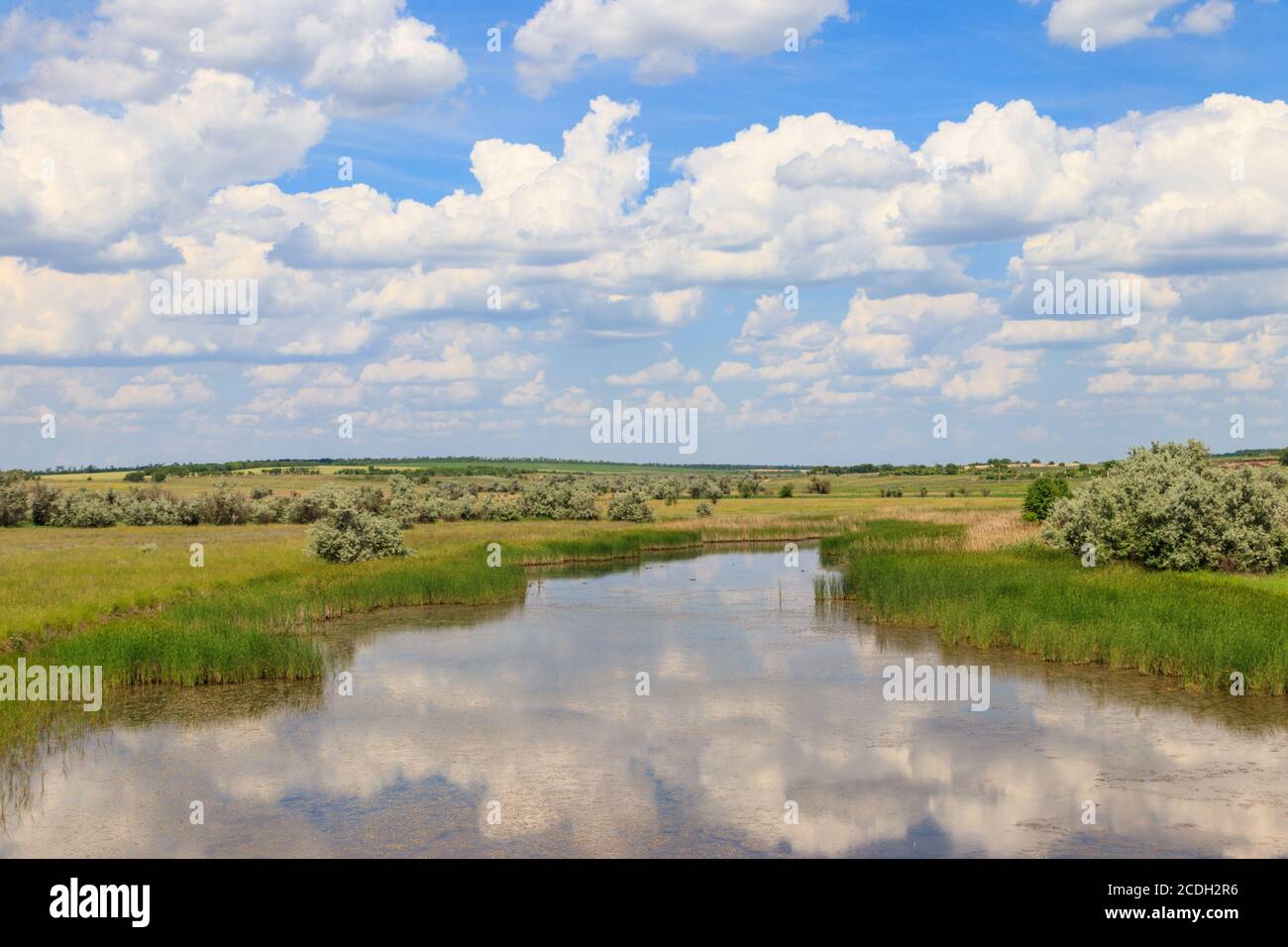 Paysage d'été avec petite rivière et ciel bleu nuageux Banque D'Images