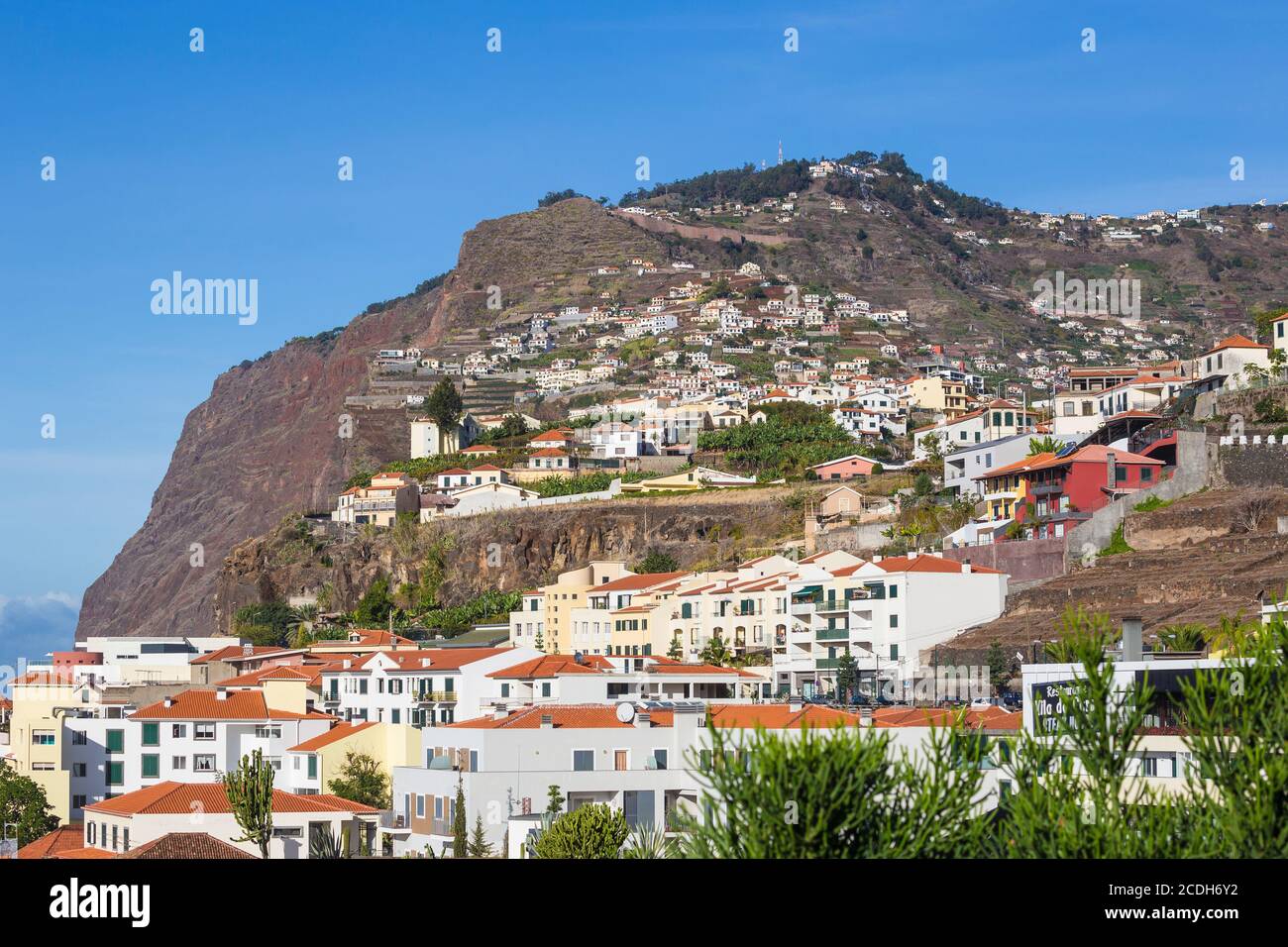 Portugal, Madère, Funchal, Camara de Lobos, en regardant vers les falaises de Cabo Girao Banque D'Images