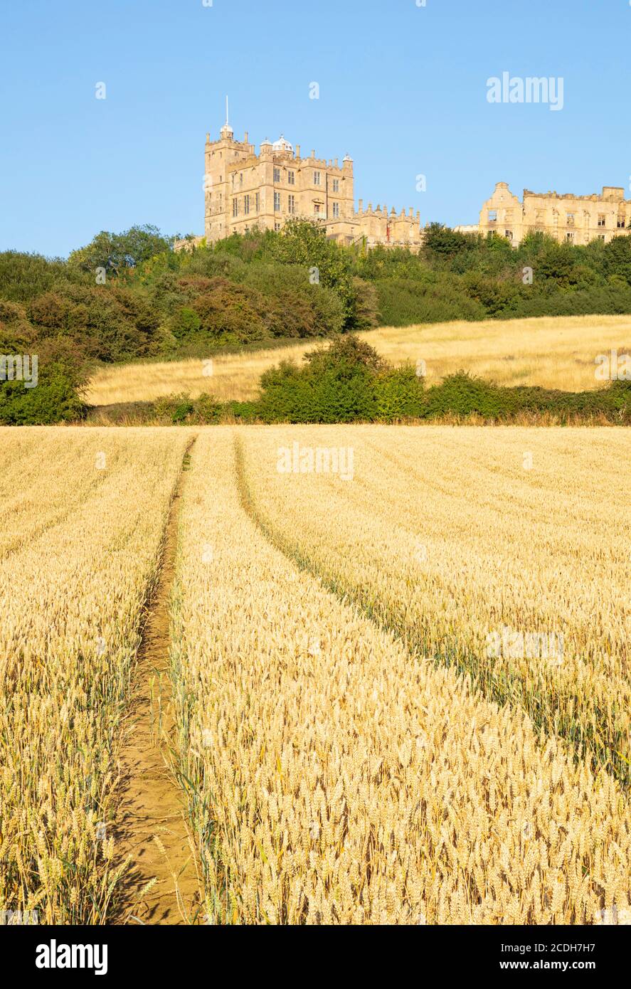 Vue sur le château de Bolsover depuis un champ de maïs, Bolsover, Derbyshire, Angleterre, Royaume-Uni, GB, UK, Europe Banque D'Images