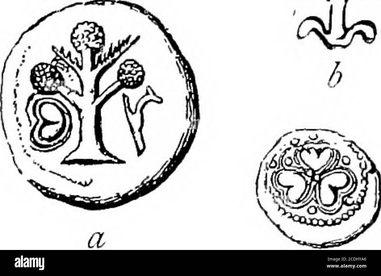 . Le palais de Minos : un compte-rendu comparatif des étapes successives de la civilisation crétoise ancienne comme illustré par les découvertes de Knossos . /r Fig. 217. SignsOF Signary Minoan, perhapsTHE vaisseaux de graines de Silphium. Figure 216. *-signes similaires de Minoan HiéroglyphicSignary : représentant apparemment Silphium.. * T Banque D'Images
