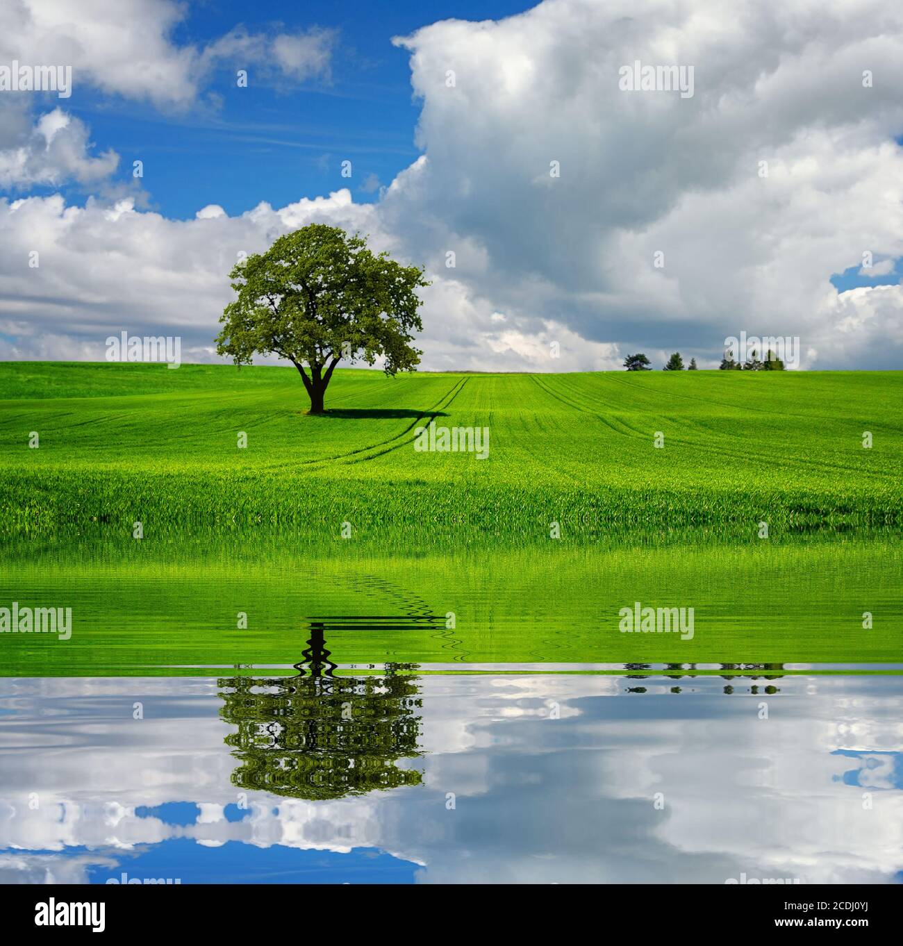 Ligne verte Banque D'Images