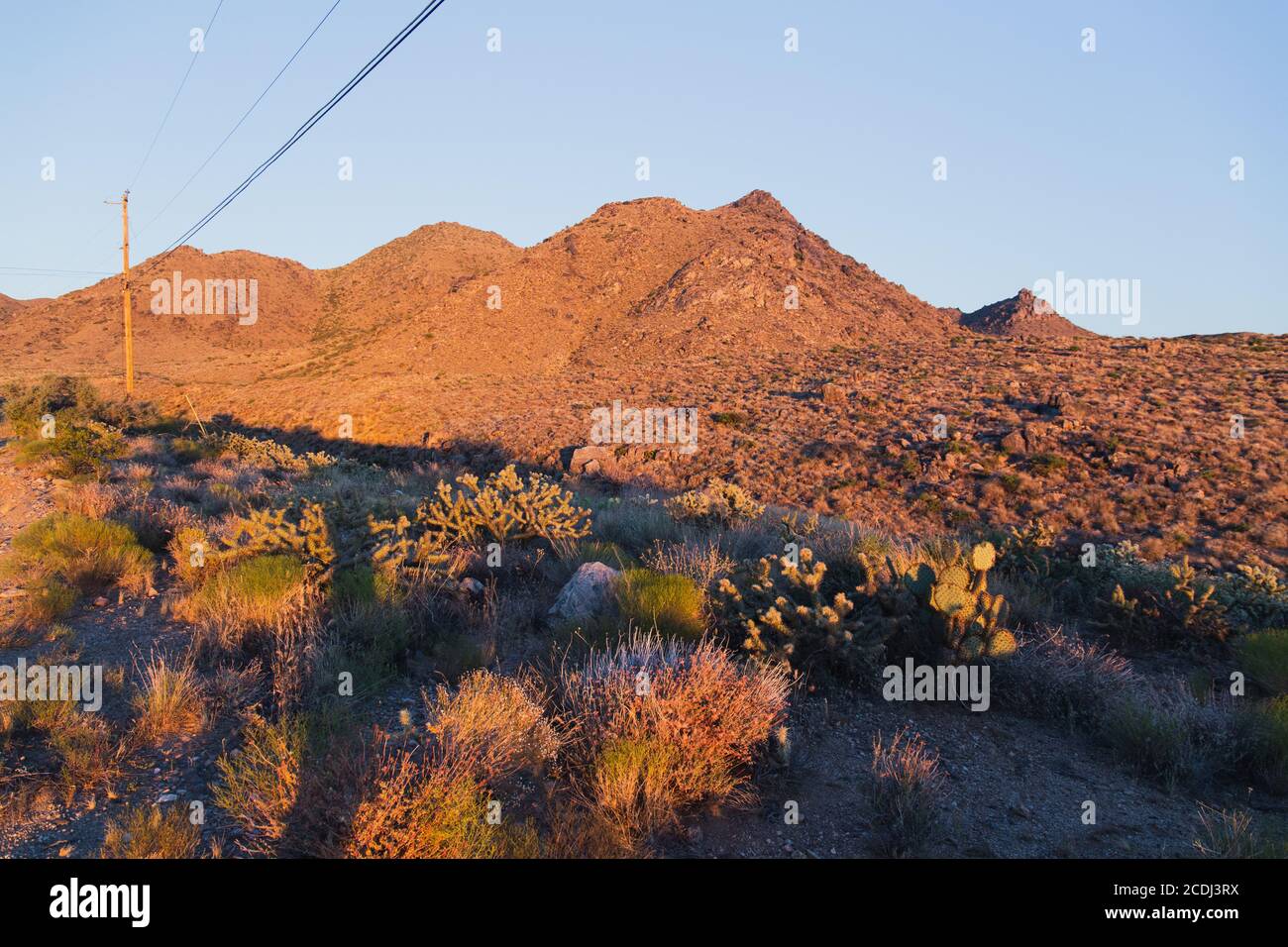 paysage désertique au coucher du soleil en été Banque D'Images