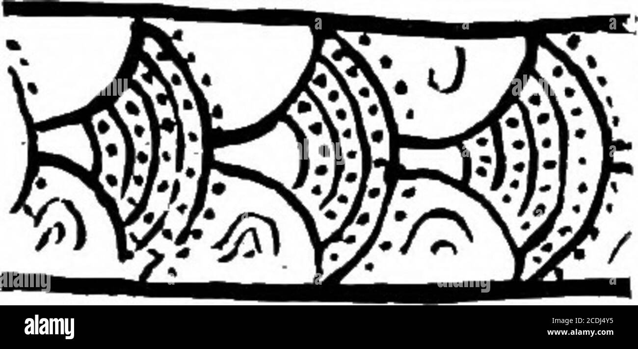 . Le palais de Minos : un compte-rendu comparatif des étapes successives de la civilisation crétoise ancienne comme illustré par les découvertes de Knossos . ^ restauré à partir de fragments trouvés dans la zone W. du sous-sol Loom-Weight. ^ Fig. 200, a, est d'un sherd appartenant à a M. M. i fl deposit, S.E. du site du Palais Knossos b est de la fosse de Kouloura ou de la fosse de Walledrubbish. ^ris pris de la trou-mouthedvase, Fig. 199, f, ci-dessus, d apparaît sur l'un des bocaux de laparge du sous-sol Loom-Weight (voir ci-dessus, p. 255, fig. 191). e est d'un M.M. Ill un goblet trouvé dans la grotte de Kamares (Dawkins, B. S.A., xix, P Banque D'Images