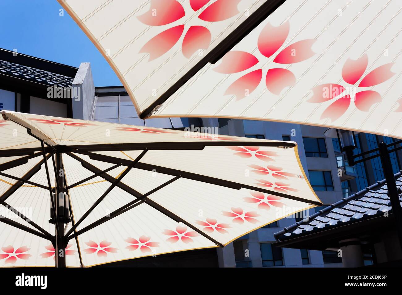 Parasols contre le petit Tokyo Skyline Banque D'Images