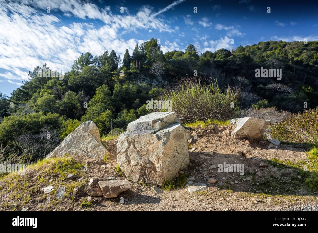 Les plats de Chantry dans la forêt nationale d'Angeles Banque D'Images