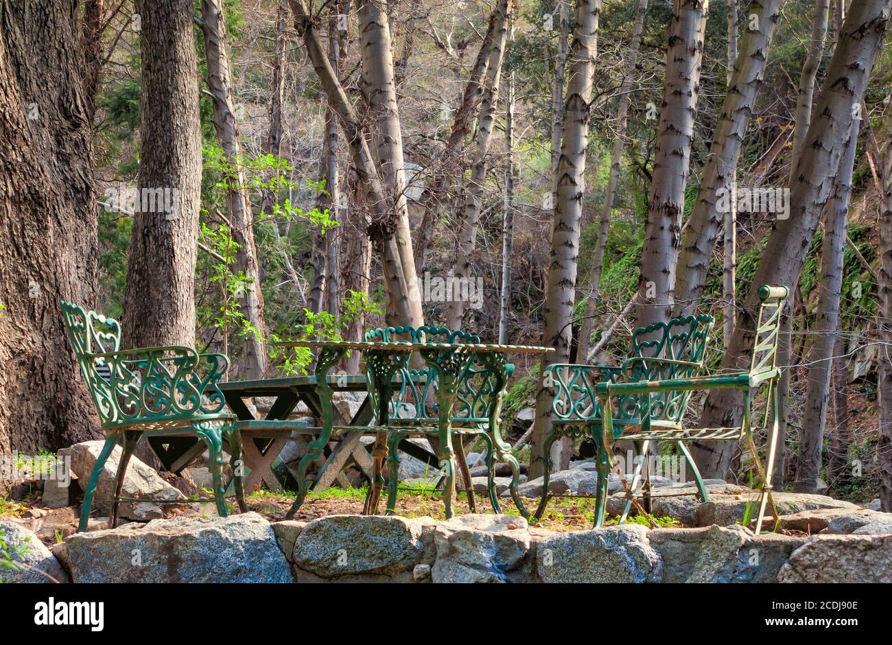 Table et chaises dans la forêt à Chantry Flats Banque D'Images