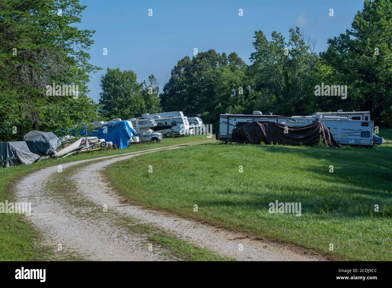 Véhicules récréatifs entreposés dans un parc forestier national. Banque D'Images