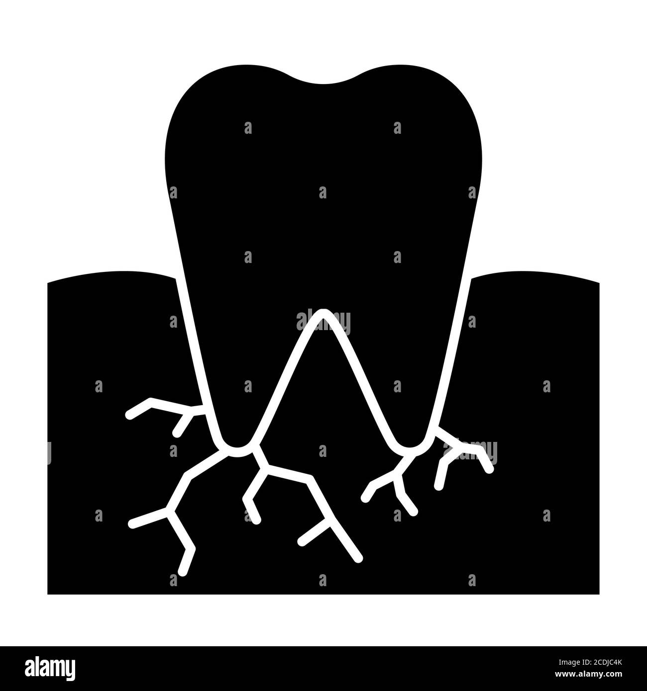 Icônes de glyphe Anatomie des dents Banque D'Images