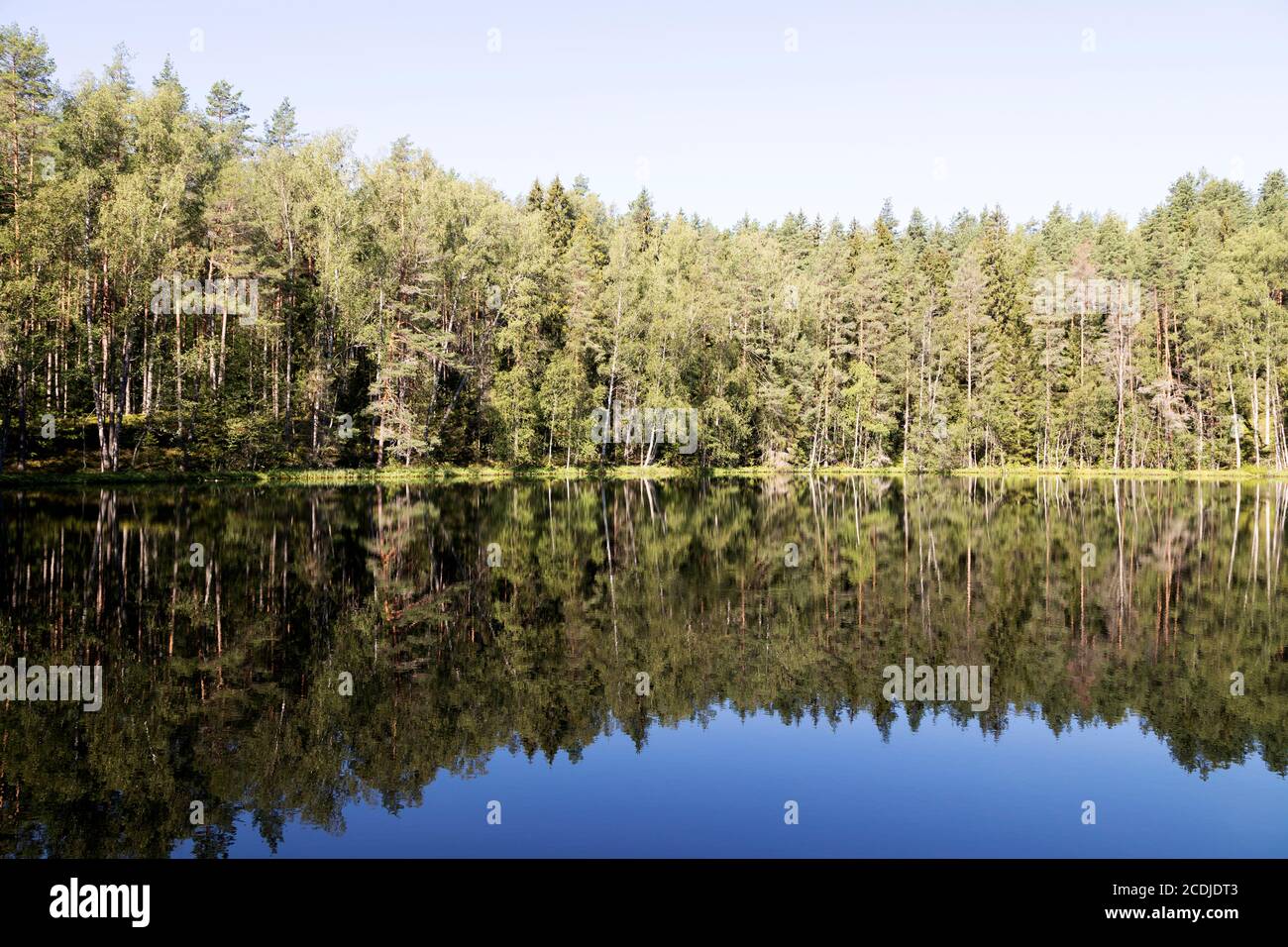 Velnezers (Lac du diable) près d'Aglona, Lettonie. On dit que le lac a été formé par une frappe de météoroïdes et qu'il est réputé pour ne pas avoir de vie. Banque D'Images