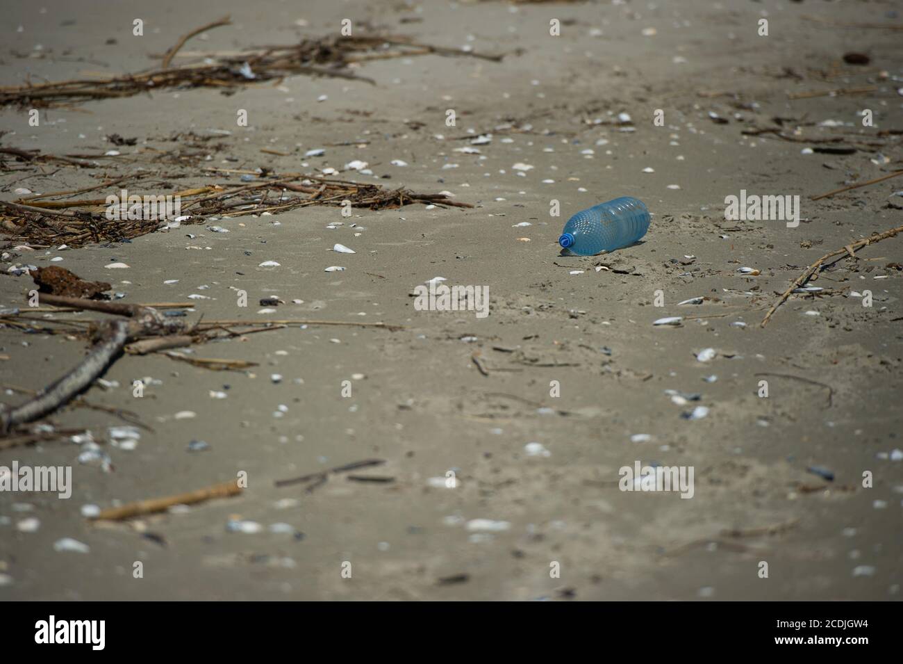 Pollution plastique des bouteilles d'eau sur les rives de la mer Noire dans le delta du Danube près de Sfantu Gheorghe, Roumanie. Banque D'Images