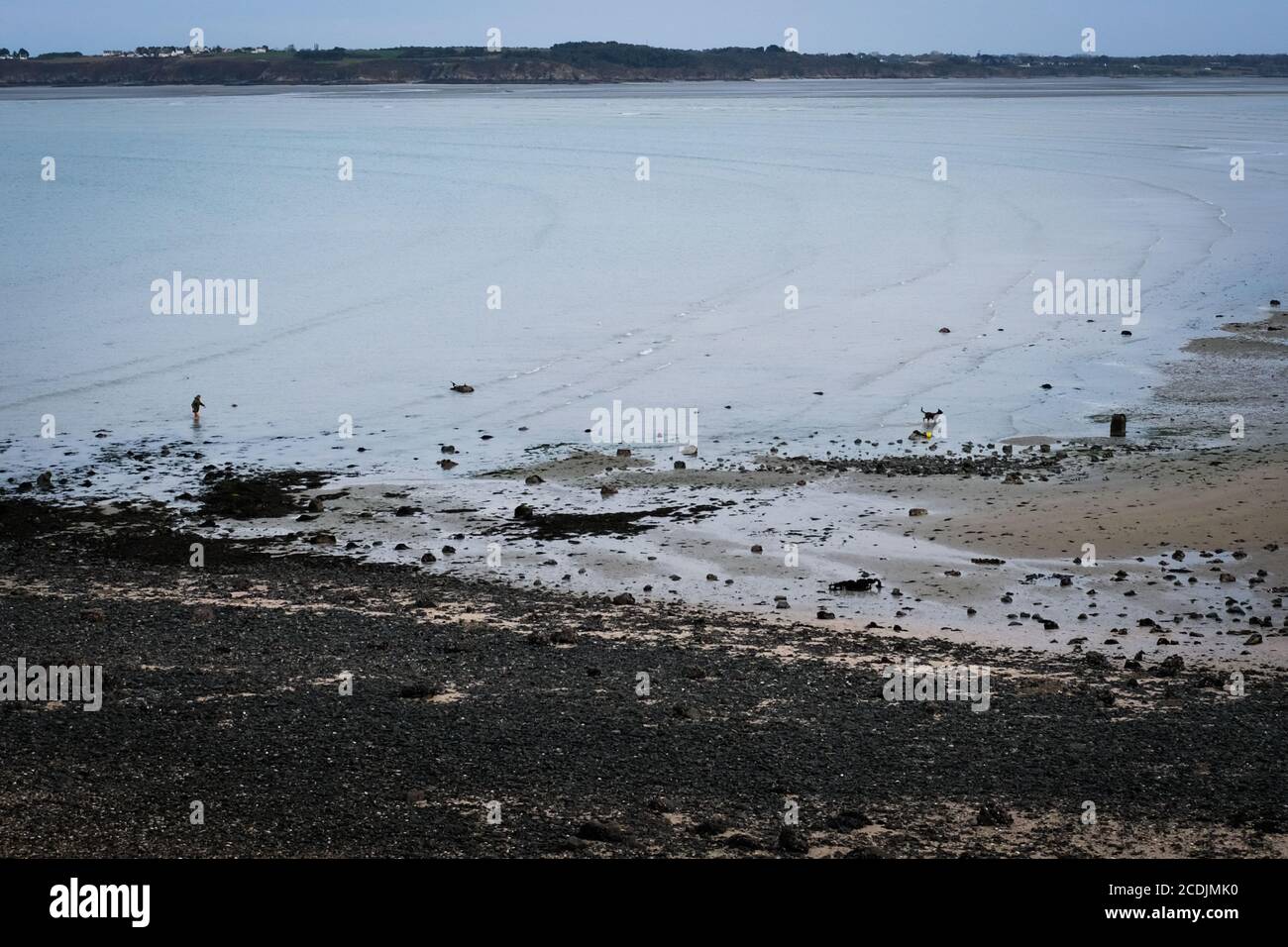 Sur la baie de Saint-Brieuc (baie de Saint-Brieuc), Saint-Brieuc, Bretagne, France. Banque D'Images