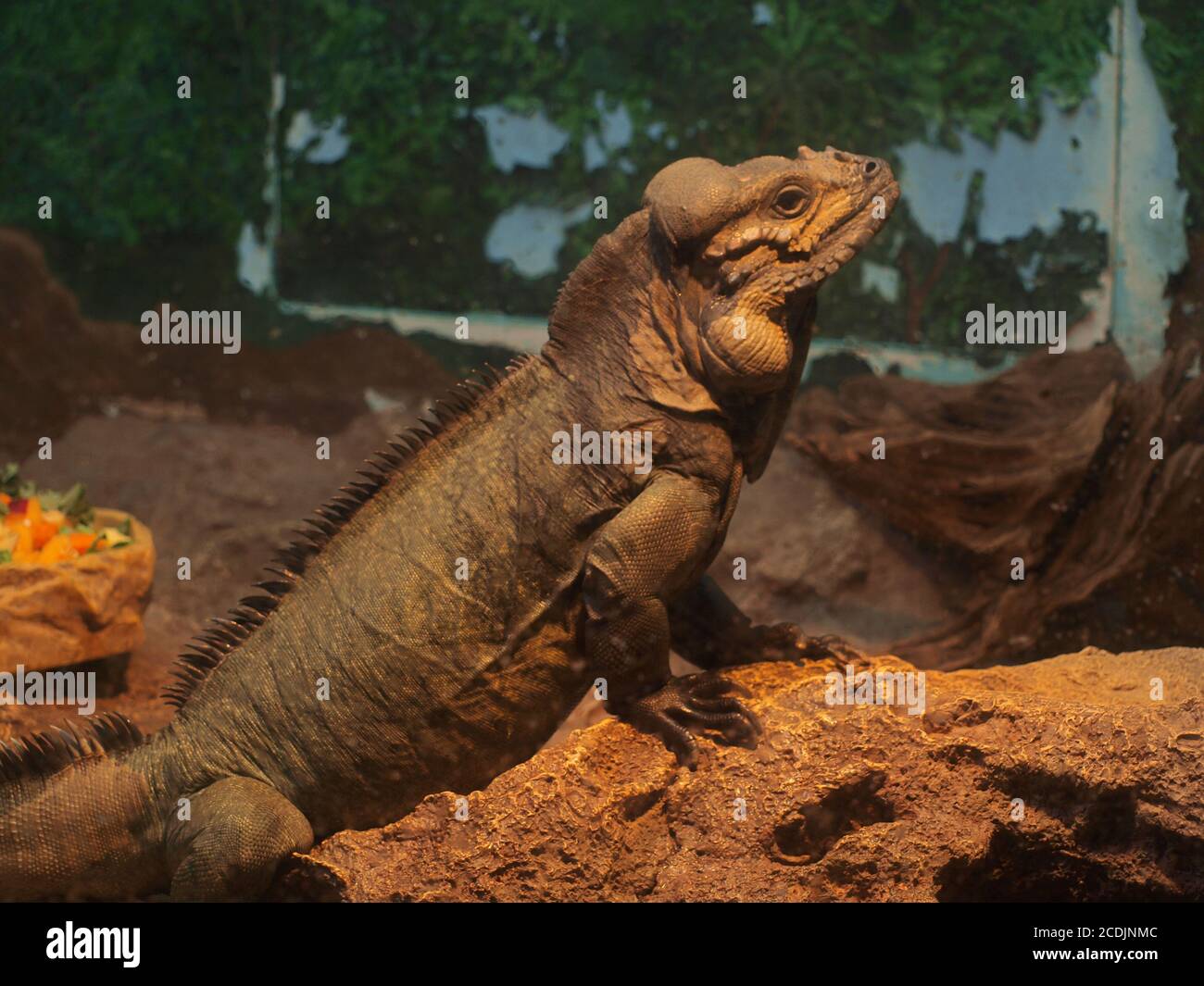 Parc d'expositions Art déco Banque D'Images