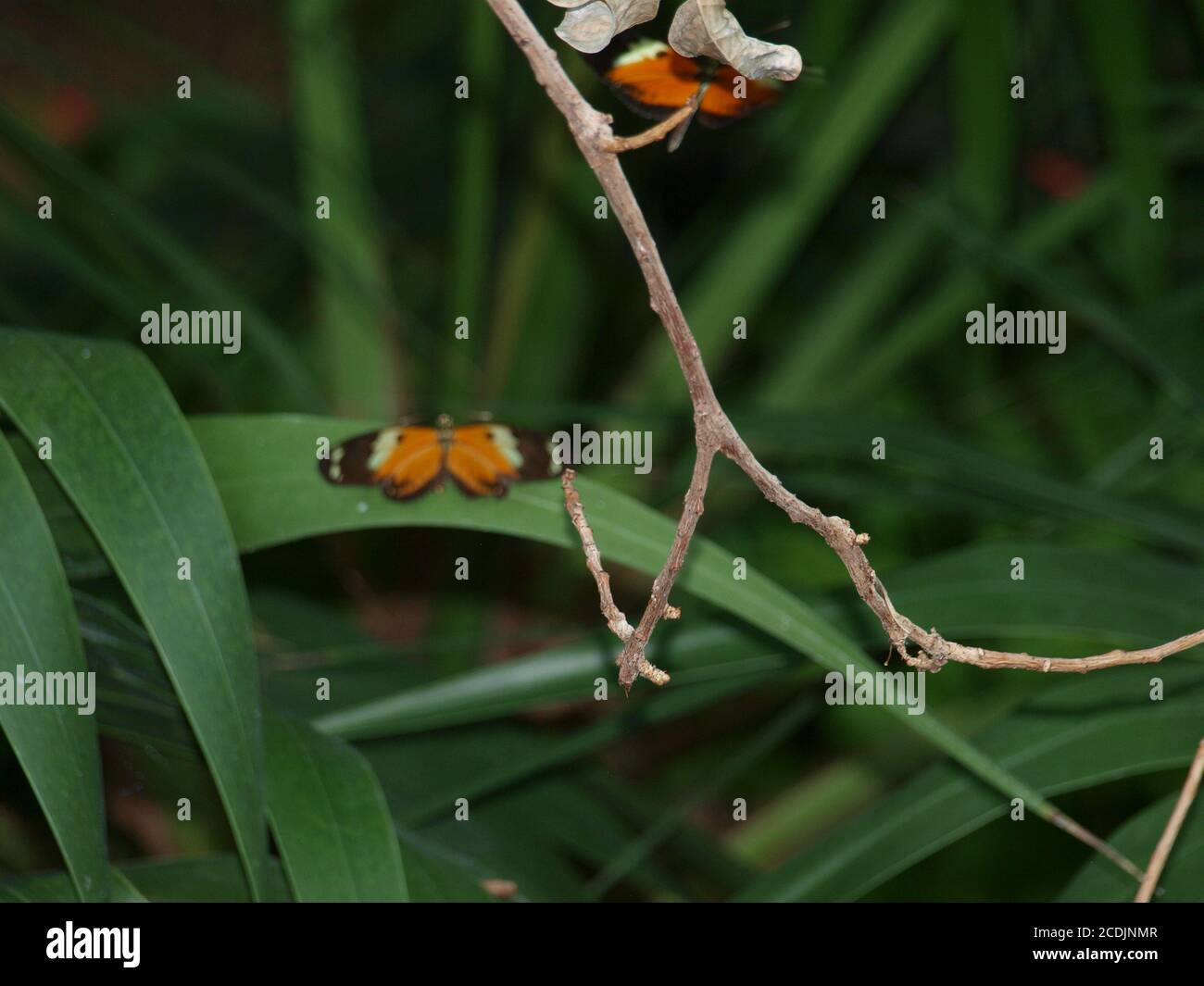 Parc d'expositions Art déco Banque D'Images