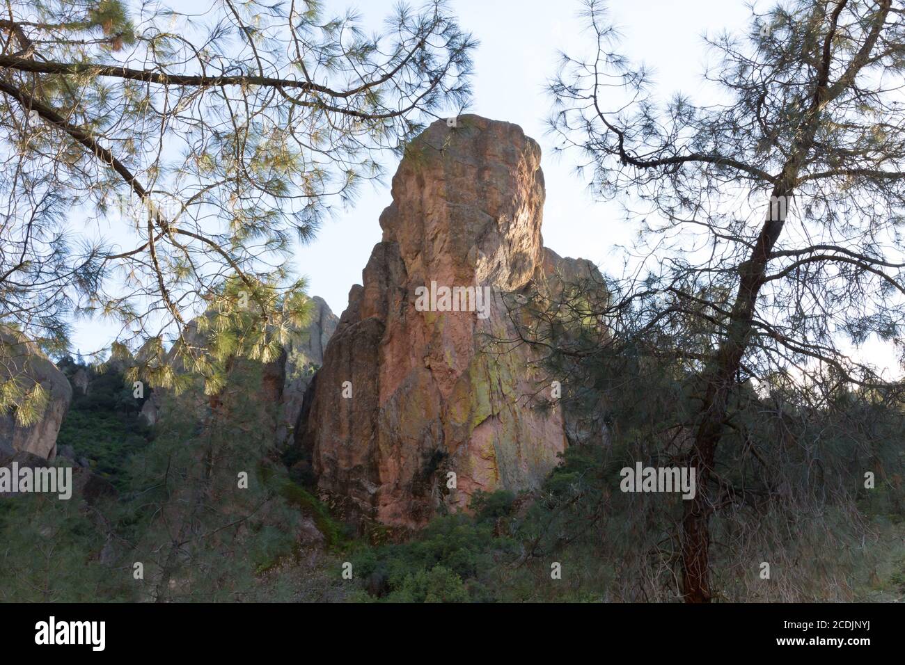 Pinnacles National Monument en Californie, États-Unis Banque D'Images