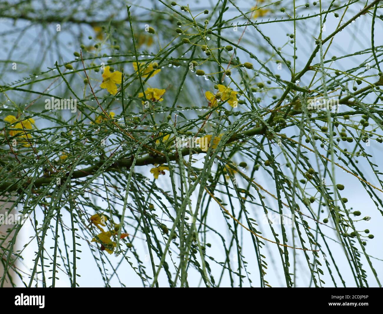 Parc d'expositions Art déco Banque D'Images