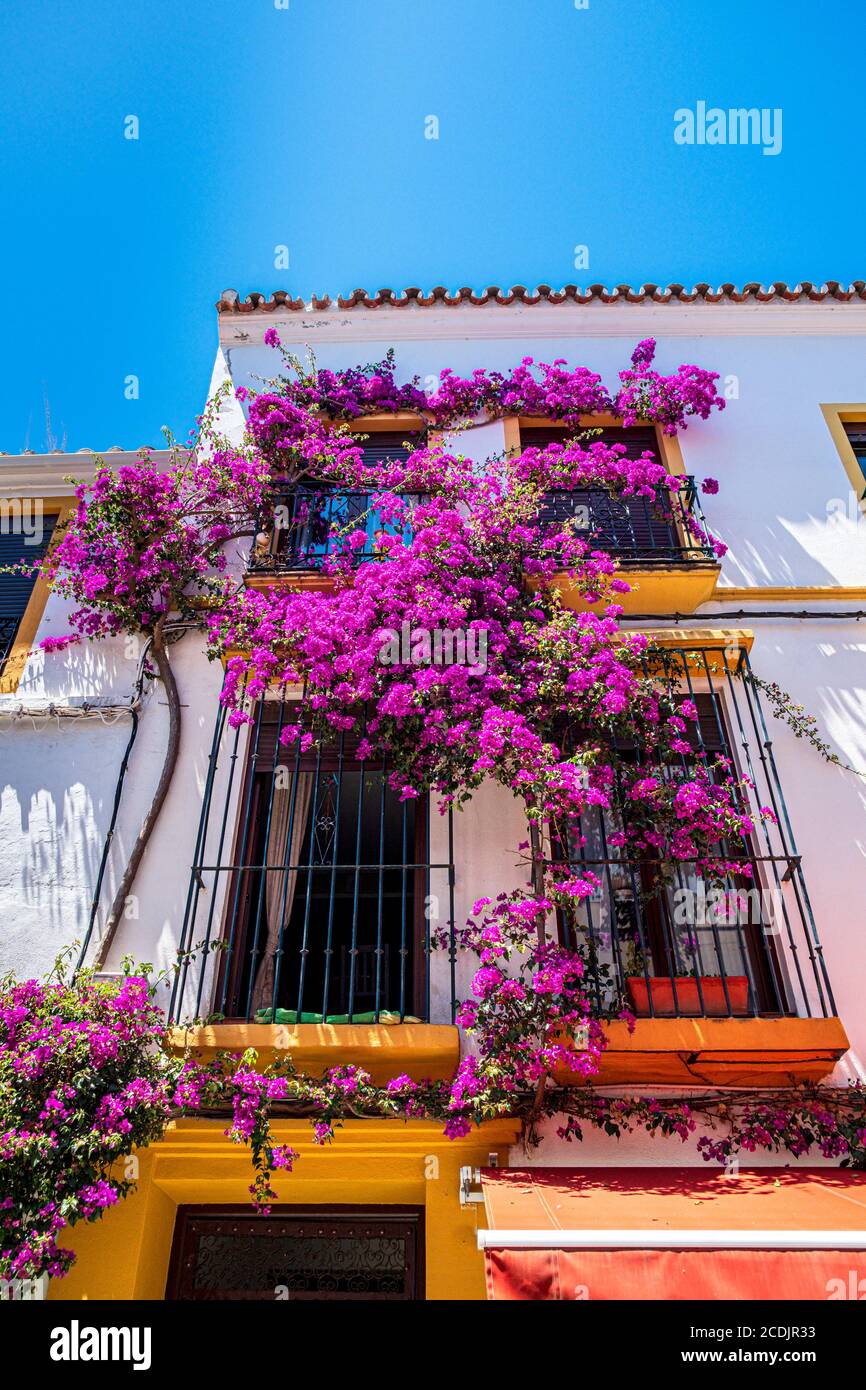 Boîtes de fenêtre de colroful dans la vieille ville - Marbella, Espagne Banque D'Images