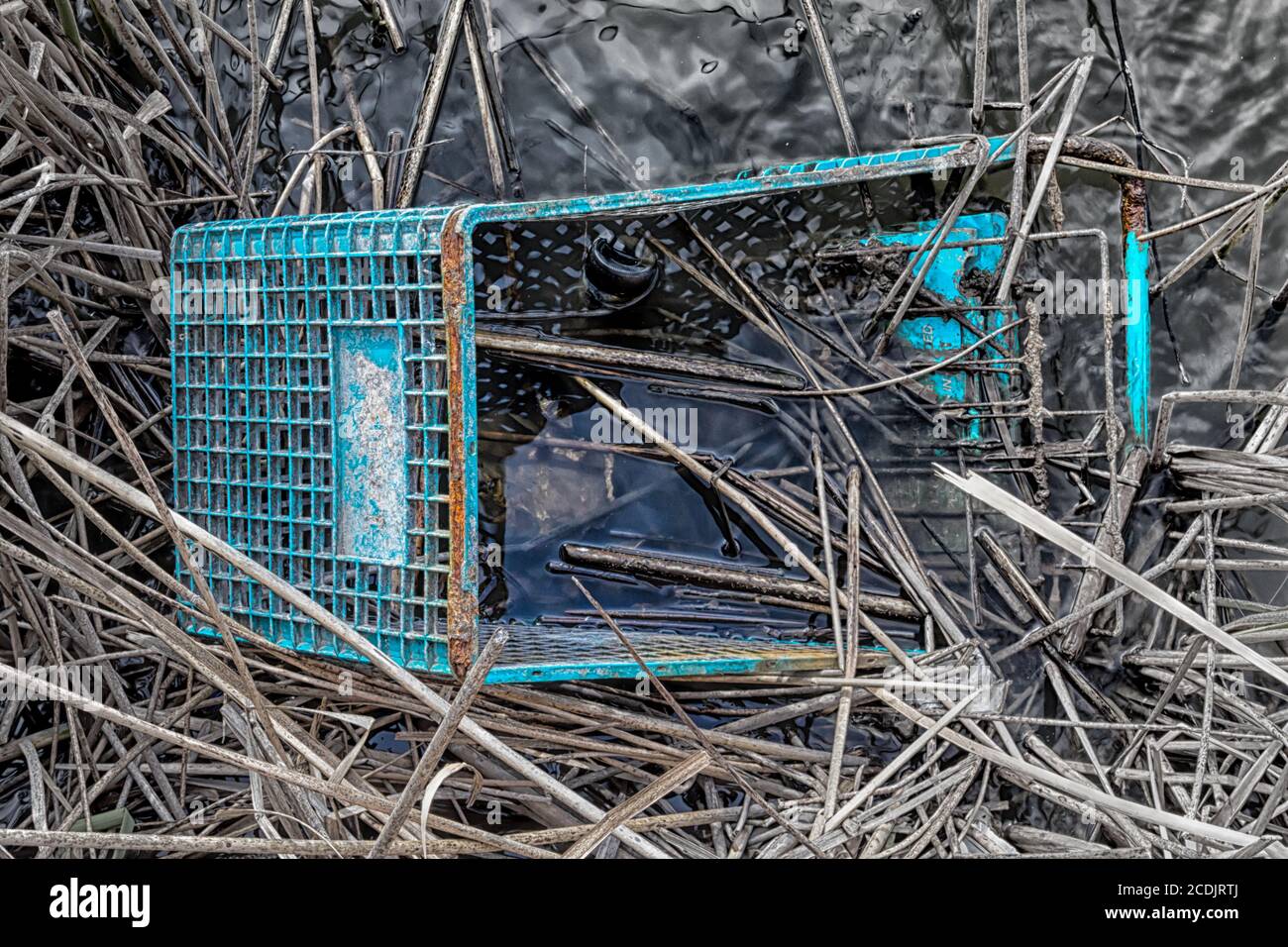 Panier mis au rebut dans Swamp Banque D'Images