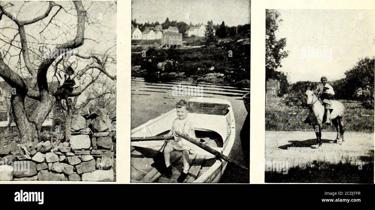 . St. Nicholas [série] . terrain de chasse, mais le temps passe jusqu'à l'heure du déjeuner. Mais même cette interruption la plus nécessaire est bientôt terminée, et je monte une fois de plus dans mon château vert-muré. Le jardin en dessous semble à moitié endormi, et les éclaboussures d'oiseaux dans la fontaine est onlyintermittent. Et ainsi, la lecture et le rêve dans mon arbre-dessus, l'après-midi passe. Les jeunes voleurs appellent vigoureusement pour leur dîner, et je vais dans le mien. Plus tard dans la soirée, je m'asseye dans le hamac et je regarde la lune se lever derrière le châtaignier-arbre, et aussi, ce que j'ai accompli au jour le jour. Per-hap rien, mais c'est le W Banque D'Images