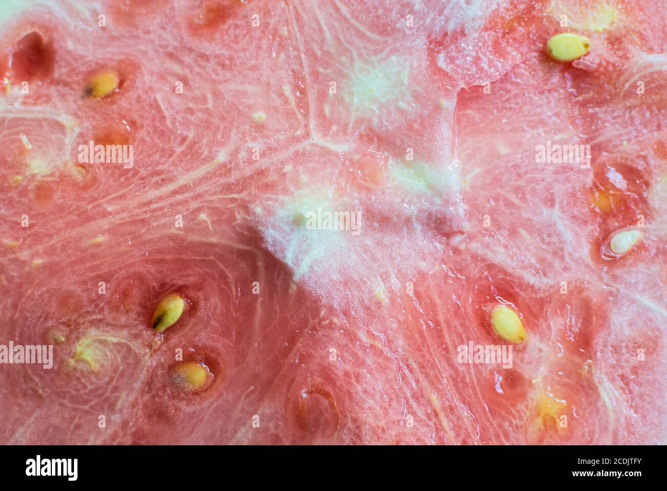 la tranche de pastèque non mûre est proche des graines blanches Banque D'Images