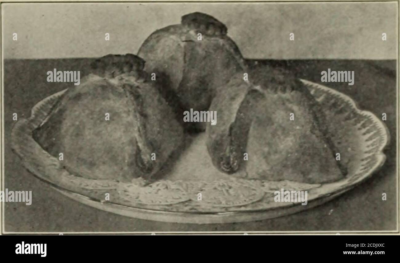 . Cuisine américaine . ne perdez pas leur forme en même temps dans la cuisine. Nettoyer les brins et les déposer sans couper les pommes en morceaux. Mettez les pommes en quantité suffisante pour les faire flotter; ajoutez une tasse de sucre et faites cuire jusqu'à ce qu'elles soient presque terminées. Déplacez à nouveau avec un skimmer et faites cuire le sirops jusqu'à ce qu'il soit épais. Placez chaque pomme sur un carré de pâte. Remplissez les carottes de beurre, de jus de citron et de sucre, et faites passer le sirop au-dessus des pommes. Humidifiez les bouts des carrés de pâtisserie et pressez pour mousser sur le dessus de la pomme. Mettre un moule à pain et faire cuire un bon brun.servir avec la crème juste assez aigre pour avoir devenu épais, dans lequel a Banque D'Images