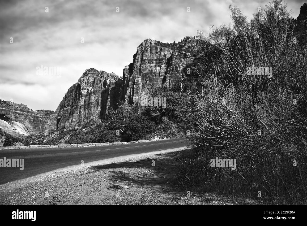 Pentes du canyon de Zion. Utah. ÉTATS-UNIS. Banque D'Images