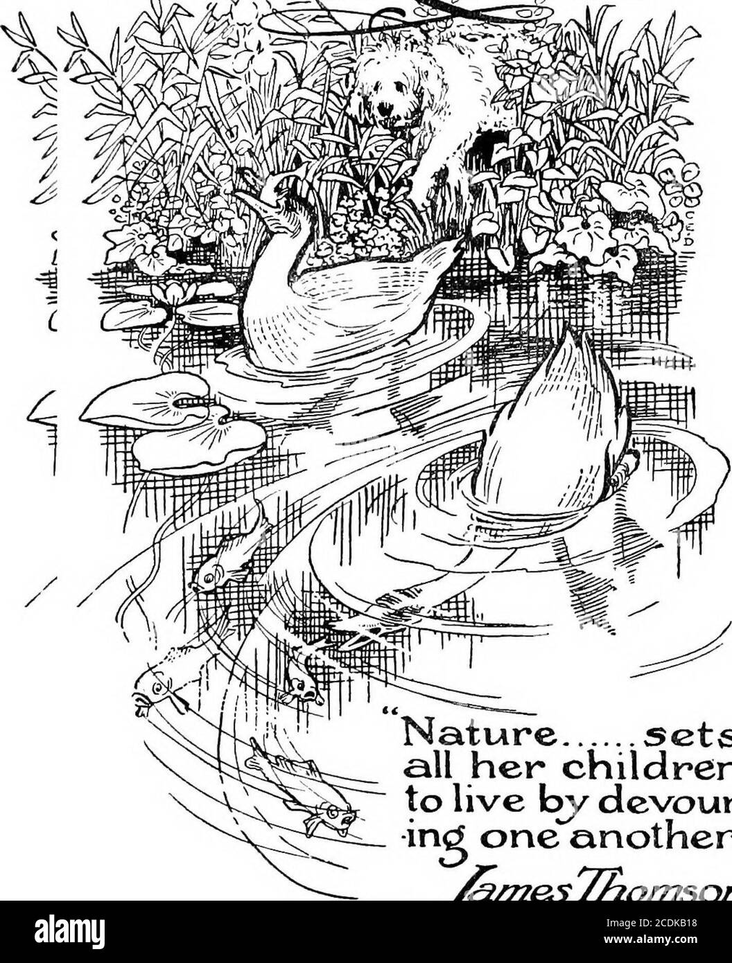 . Le jardin heureux . o leurs propres bottes que de toute autre dans le monde. A propos de lui et à propos sont des fairthings qui grandissent, mais il ne les voit pas: Ni l'andromeda fleuri, ni les bambous rouillés, ni les lys jaunes, ni les osmunda hodding, northe iris, ni le polygonum, ni le bugle. Hesits là et ne voit rien d'autre que ses propres bottes, et le rugissement dans les arbres n'est pour lui que le vent rushingpuissant de ses propres pensées. . Je suis amant que je ne suis pas pour lui, bien que c'est pour toutes les thatvies et se développe : pour lui est seulement un aveugle longangpour dire : / suis que je ne suis pas. Pourquoi alors admithim au jardin ? . . C'est le cas Banque D'Images