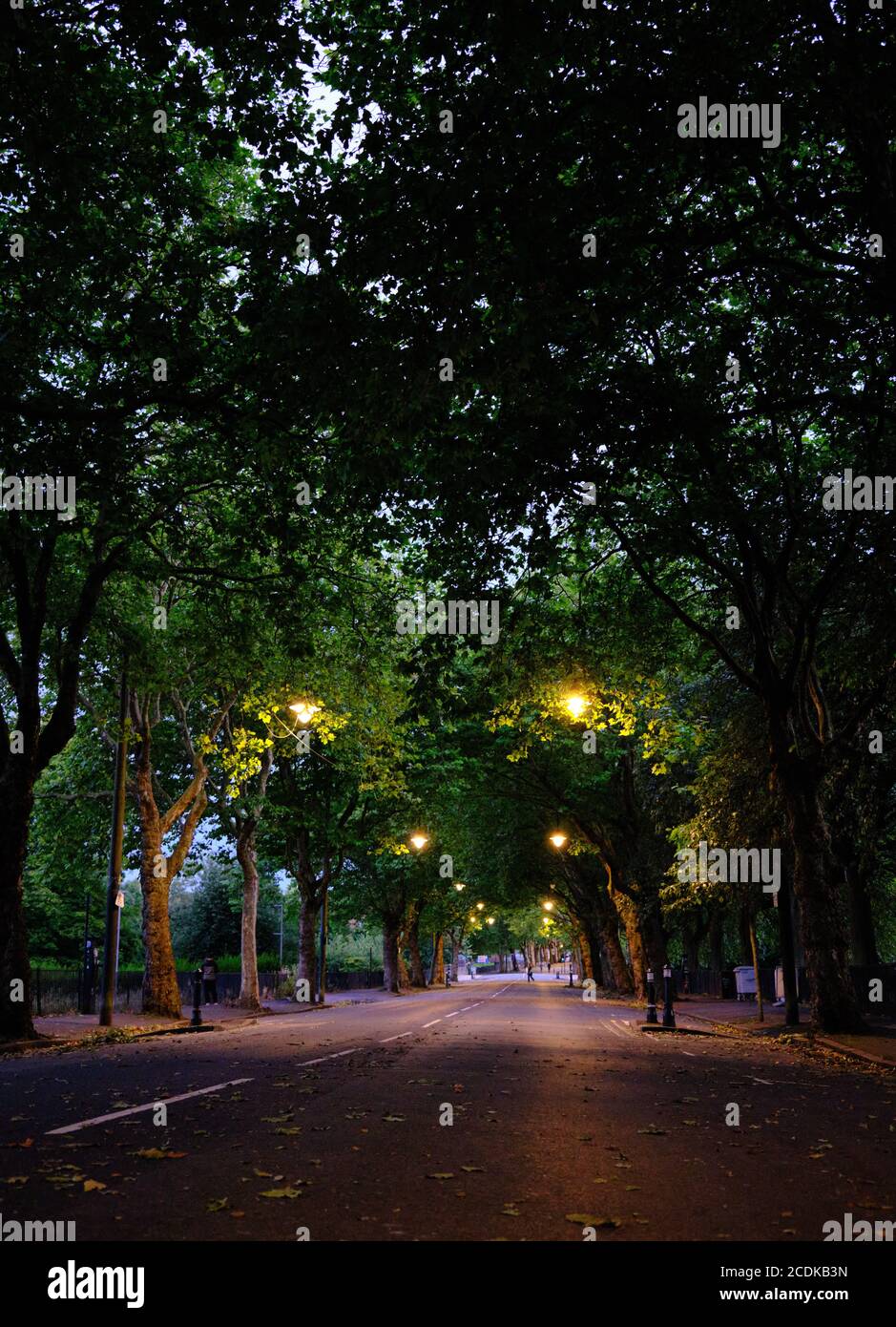 Un Kelvin Way vide, Glasgow, Écosse. (Août 2020) (juste à l'extérieur du parc Kelvingrove) Banque D'Images