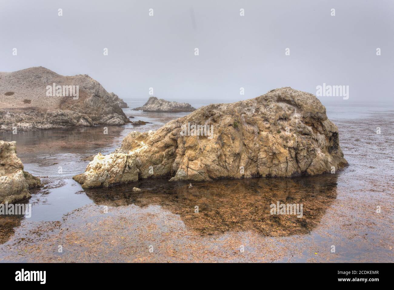 Formations rocheuses spectaculaires à l'aire marine de conservation de point Lobos Banque D'Images