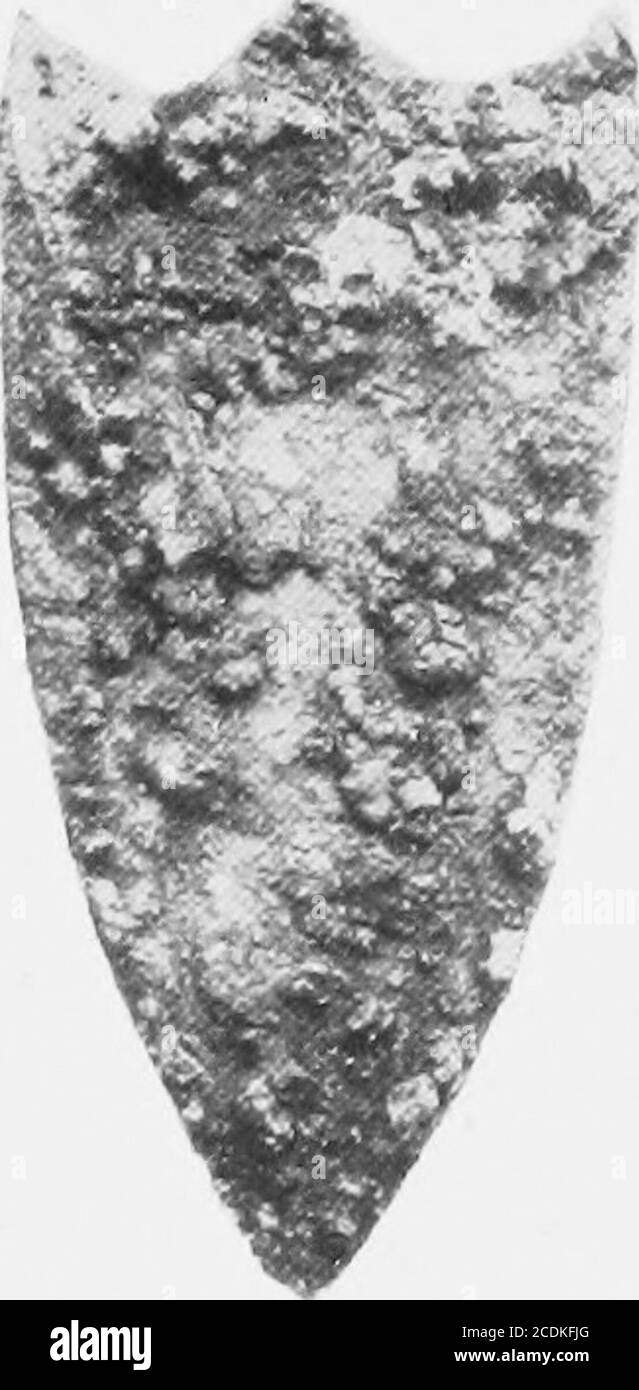 . Le palais de Minos : un compte-rendu comparatif des étapes successives de la civilisation crétoise ancienne comme illustré par les découvertes de Knossos . 11,45 Fig. 70. Armes et instruments en cuivre de Mochlos (E. M. II) {^c)-Minoen âge que les objets d'or sont plus largement à venir de ces tombes que l'argent, si fréquent dans les dépôts contemporains des Cyclades.UNE coupe et le finger-ring de ce dernier métal ont cependant été trouvés à Mochlosand twosilver daggers, à mentionner ci-dessous, a eu lieu à Kumasa. Des poignards triangulaires en cuivre apparaissent maintenant, souvent avec une base incurvé(Fig 70 II 45). Comme indiqué un Banque D'Images