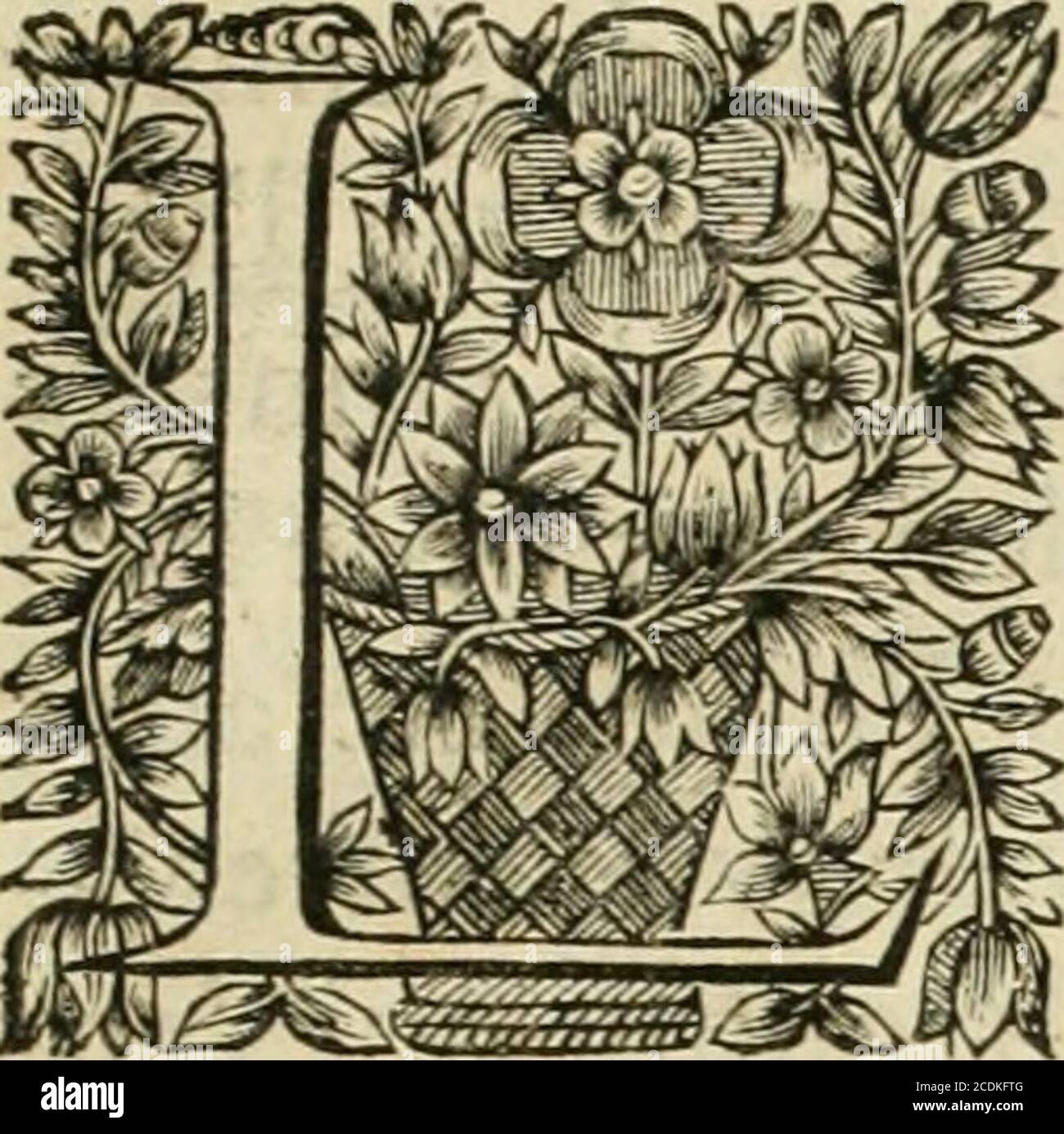 . Tableaux du temple des muses : tirez du cabinet de feu M. Fauereau, conseiller du roy en sa Cour des aydes, et graez en tailles-douces par les meilleurs conseillers de son temps, pour le réprimeur les vertus et les vices, sur les plus illustrations fables de l'antiquité . GUuccus . AllCf.flhPOTVU. Nonnus lib. sr.. llp CLAVCVS. XXVIIIl. E S Grecs qui ont écrit des Fables fur ou-te avant de fujets pour l'amputer, et Cpour tableau leur fleur dans lefpricdu vulgaire, font de diuers auis touchtlorgine de glaucus reenté dans tableau. Le Peintre qui luy donne à lamain vn bouquet de fl Banque D'Images