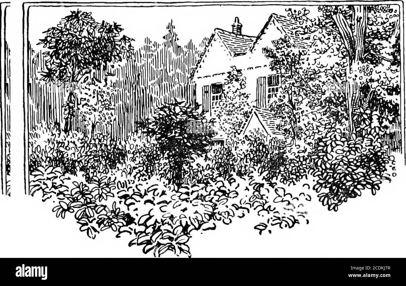 . Le jardin heureux . Wjth frontispiece d decorationsby Char/es BDawson CK,Other i/lus&ationsj^ntphoto^dphes C^SS&lt;S/L & lt;k. C?IS^Igndon, A^ff^ydrkjTd/vnto DAFE/bourne 1912 Q.^^^EST TOUS RÉSERVÉS. Un petit cottaé à double façade. Bondé de lauriers. TABLE DES MATIÈRES 1. Fierté des jardiniers 2. Jane admire .... 3. Promenade à la cerise et pelouse . 4. L'Orchard .... 5. Une ronde à long terme 6. Au-dessus des collines et loin 7. Annuals... 8. La rivière Toy PAGE 3 17 47 65 83 101 121 139 vi Table des matières PAGE 9. Un interlude alarmant . 157 10. Foi des jardiniers . 175 11. Sun Rose et SPIR^a . 191 12. Fleurs amicales . Banque D'Images