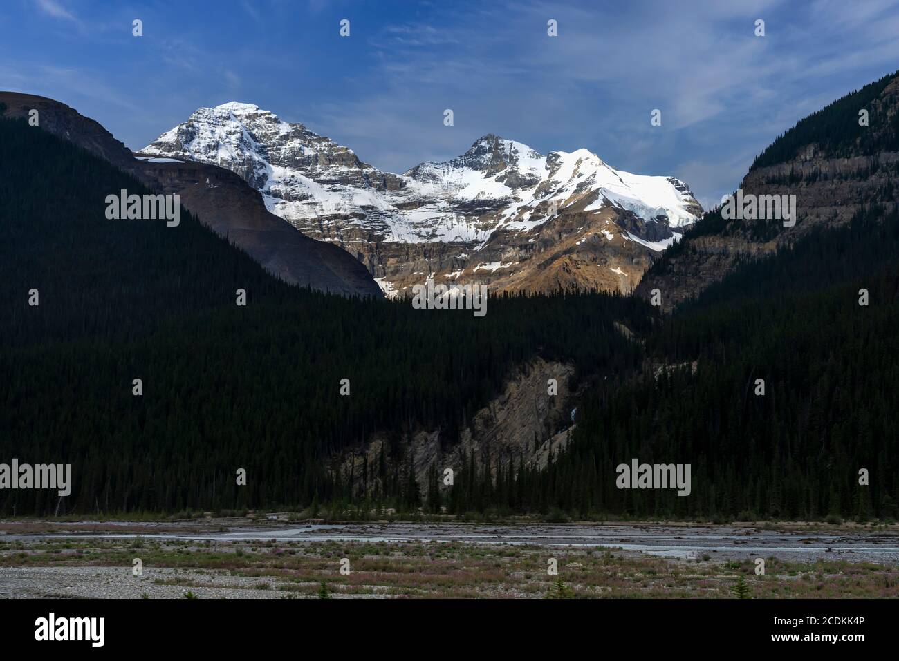 Montagne pittoresque le long de la promenade Icefields, Alberta, Canada. Banque D'Images