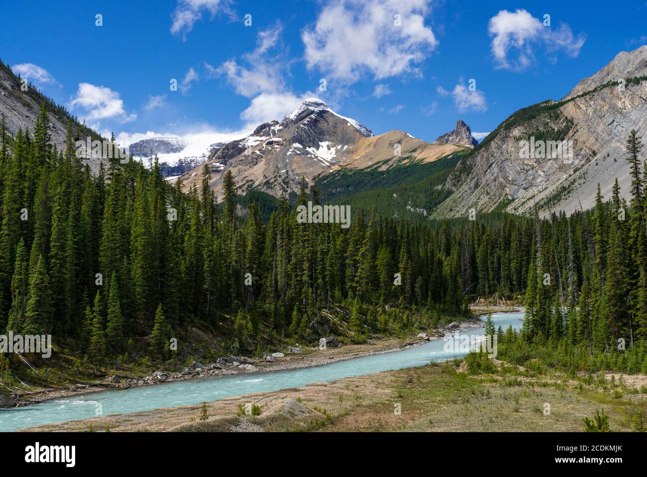 Montagne pittoresque le long de la promenade Icefields, Alberta, Canada. Banque D'Images