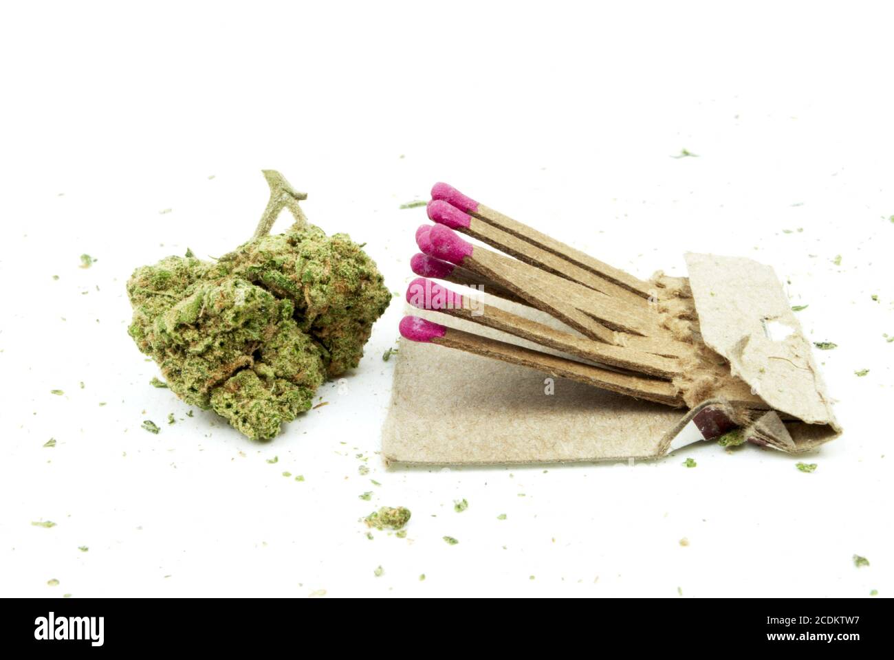 Marijuana et cannabis, fond blanc Banque D'Images